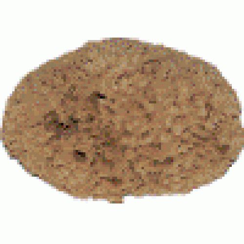 Natural Sea Sponge