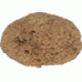 Natural Sea Sponge