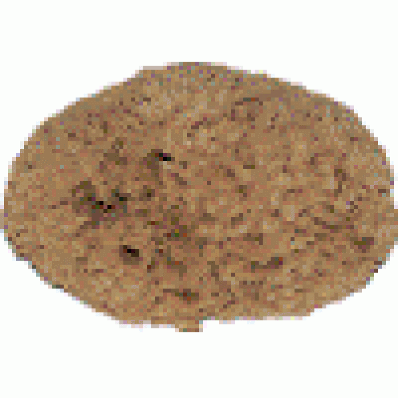 Natural Sea Sponge